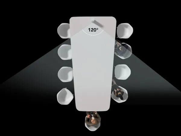 視野角100°