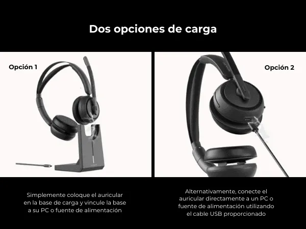 Dos opciones de carga
