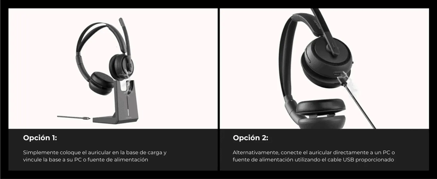 Dos opciones de carga