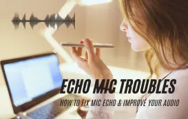 mic echo cover